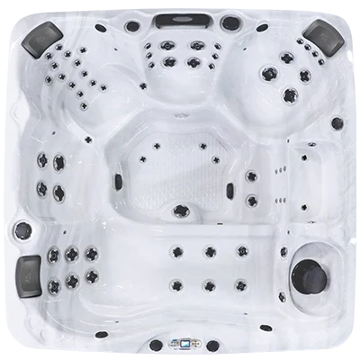 Avalon EC-867L hot tubs for sale in Kissimmee
